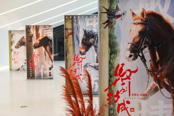 万博体育 寰球首部生肖动物电影《马到收效》上海首映，科技赋能生肖文化出海